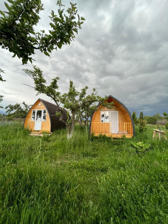 Bosogo Yurt Camp Hotel Bokonbayevo Buitenkant foto