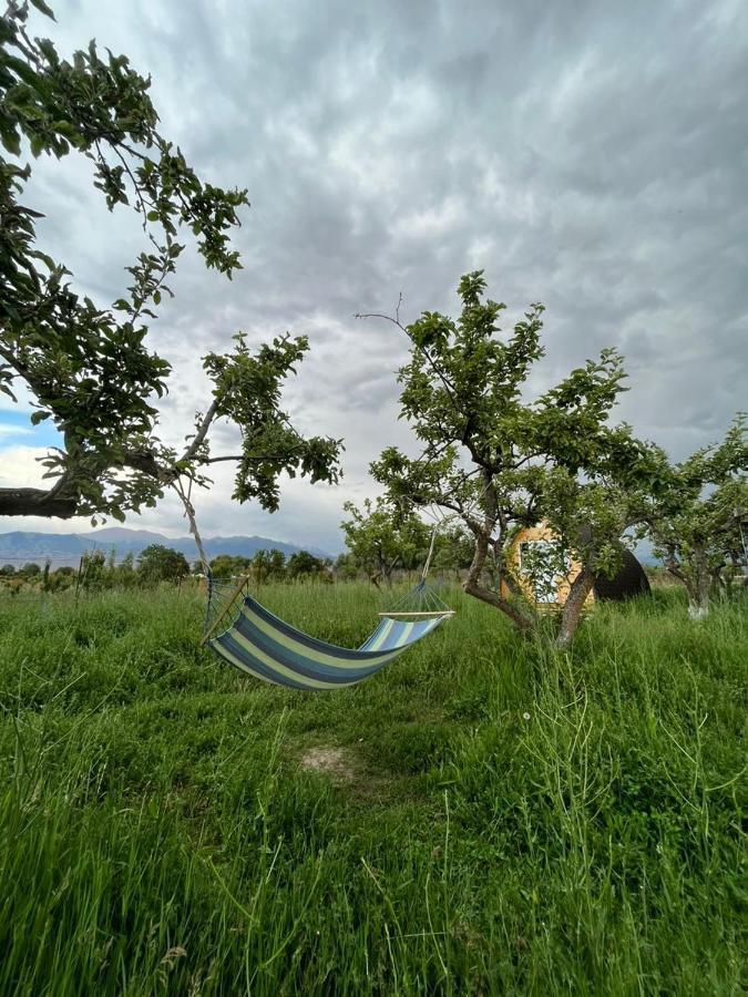 Bosogo Yurt Camp Hotel Bokonbayevo Buitenkant foto